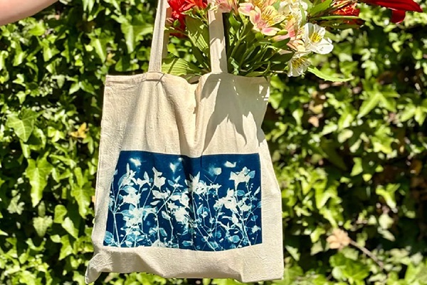 Cianotipia Avanzada [24578]