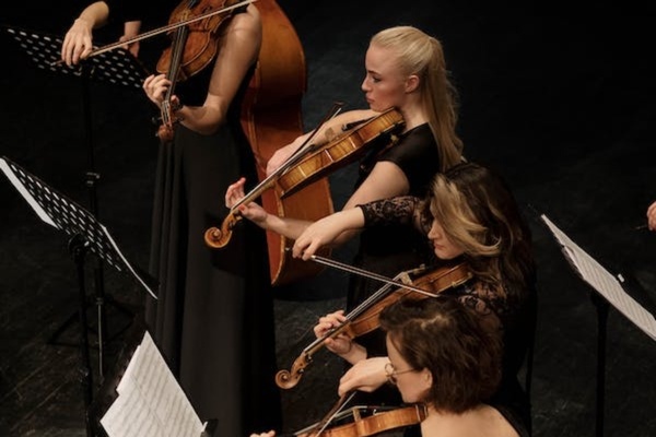 Apreciación Musical-Vitamayor las Tranqueras  [24389]